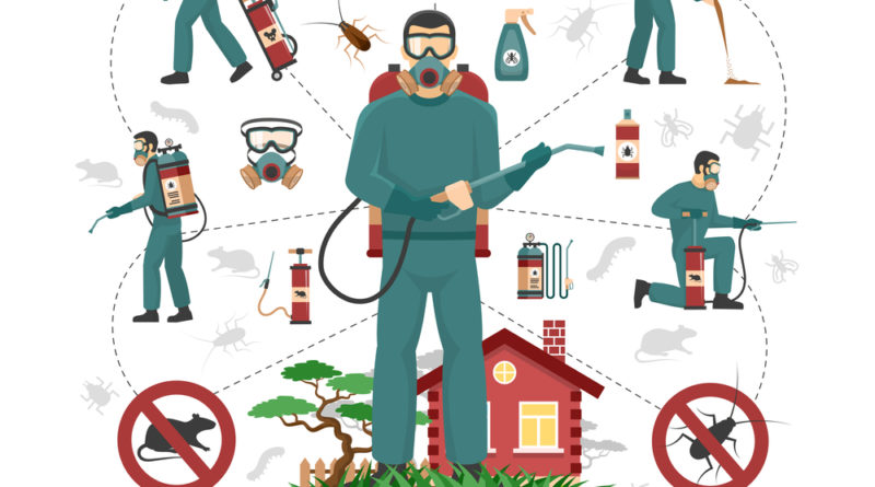 4 Key Reasons to Use a Pest Control Company Regularly