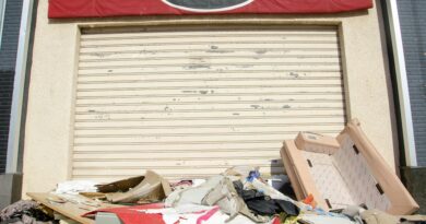 junk removal service