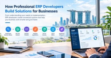 How Professional ERP Developers Build Solutions for Businesses ERP development in Singapore